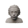 Buste van Albert Einstein – Decoratief Beeldje