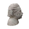 Buste van Albert Einstein – Decoratief Beeldje