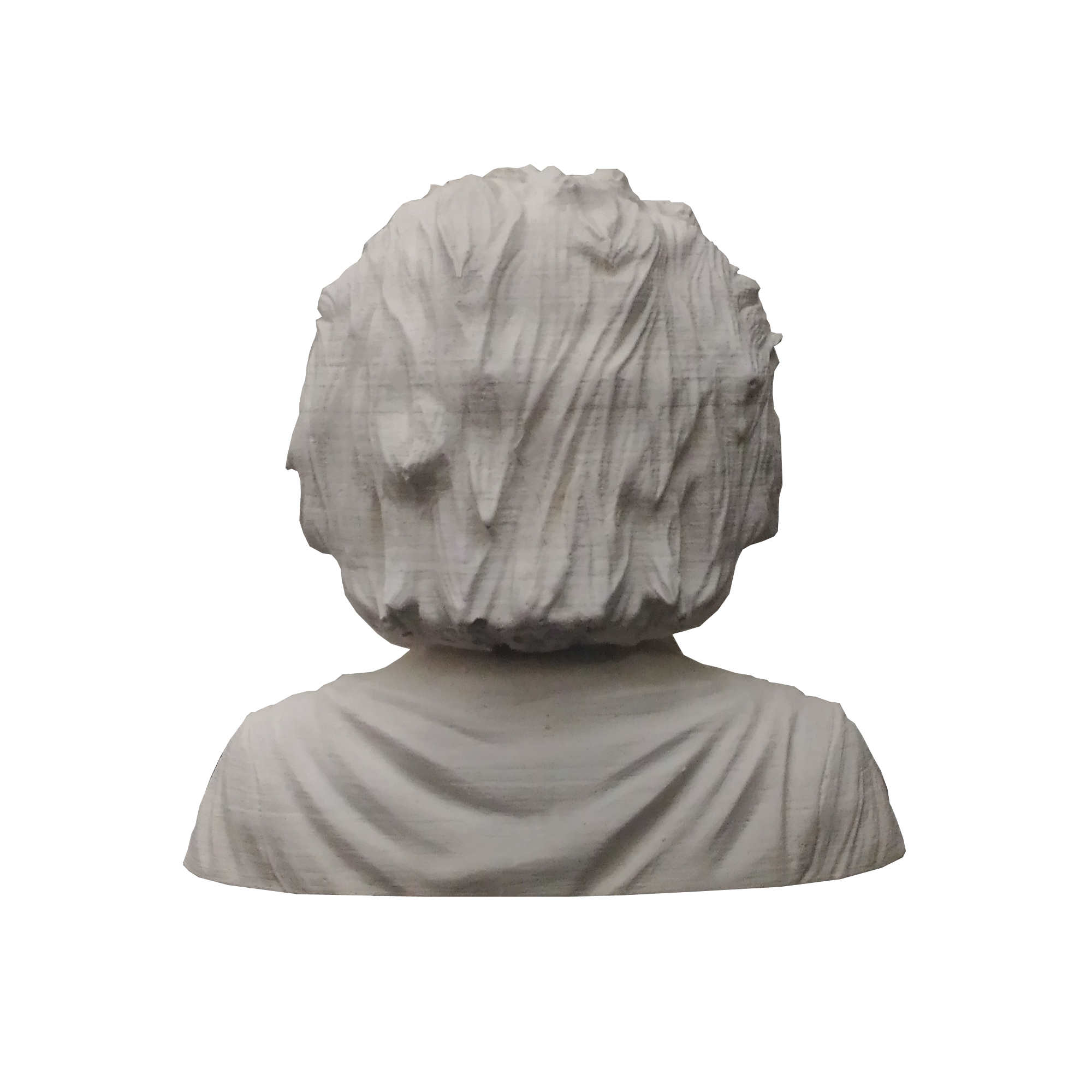 Buste van Albert Einstein – Decoratief Beeldje