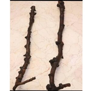 Iraanse Dervish Etnische Houten Wandelstok