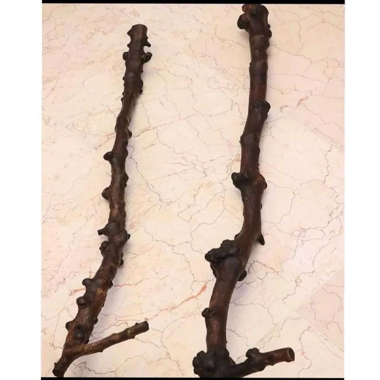 Iraanse Dervish Etnische Houten Wandelstok