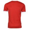 Persepolis FC Fan Shirt – Leeuw