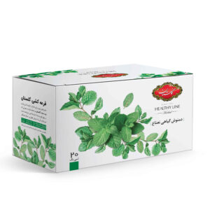 Golestan Munt Kruidenthee Mix Verpakking van 20 (5 Pakketten)