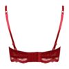 Rode Guipure Lingerieset – Bloemenmotief