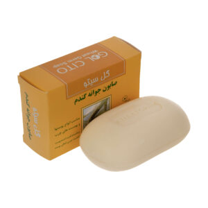 Perzische Tarwekiem Zeepbar Olie Regulator & Olie Verminderaar Gol Cito (x6)