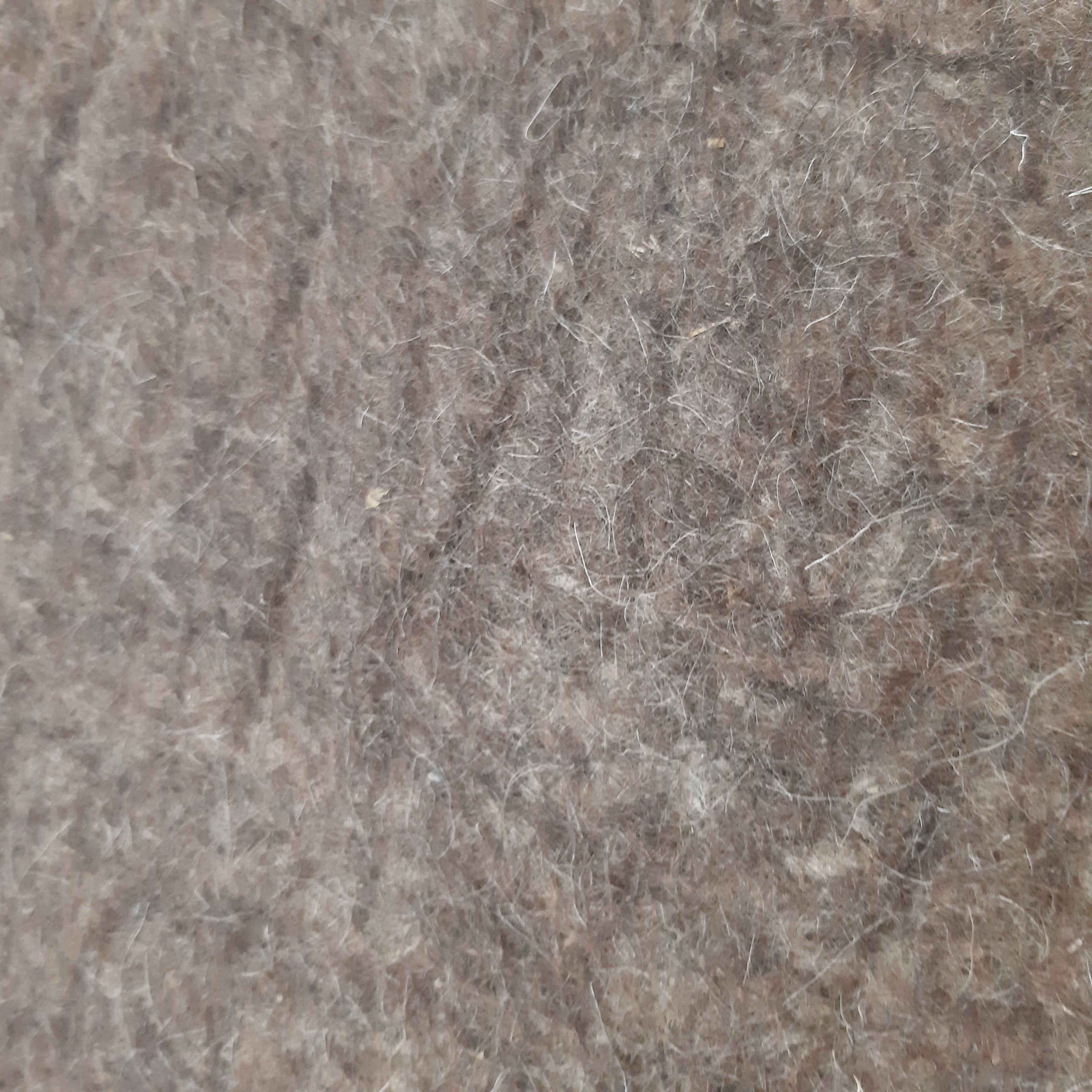 Perzisch Vilt Vloerkleed Kayvan — Vierkant — Natuurlijke Bruine Wol