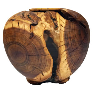 Handgemaakte Decoratieve Houten Vazen van Bramenhout