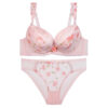 Dames Lingerieset Kant Push Up Beha & String Guipure