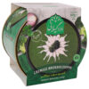 Gecombineerde Broccolisoep – Conserven (5 stuks)