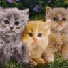 Handgeknoopt Perzisch Wandtapijt uit Tabriz met kittens