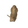 Decoratieve Slak Beeldjes – Realistische Set van 2