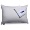 Antibacteriële Kussensloop met Chic & Comfort