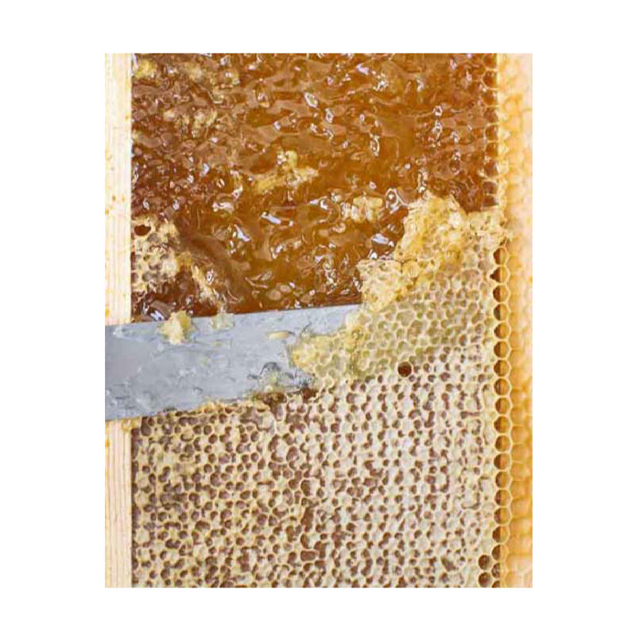 Verse Iraanse honing met natuurlijke bijenwas – 2900 g