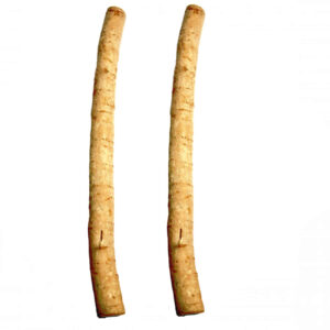 Miswak ARAK Stok Tandenborstel – Set van 12