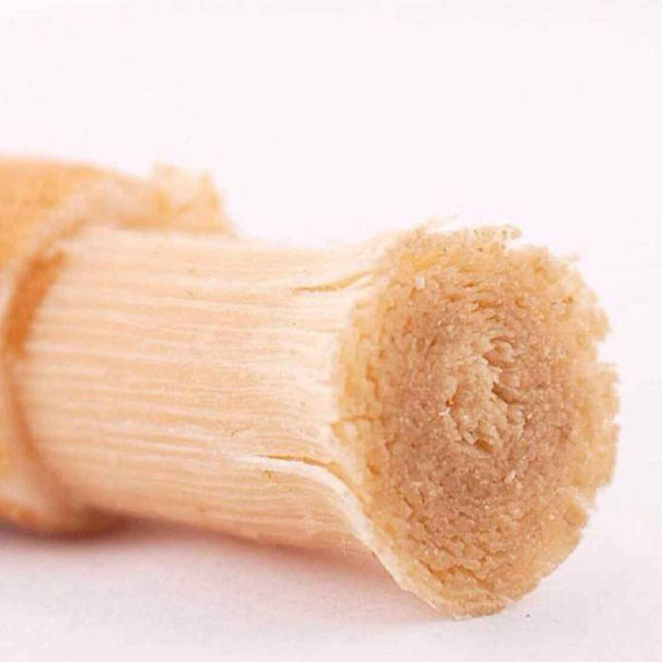 Miswak ARAK Stok Tandenborstel – Set van 12