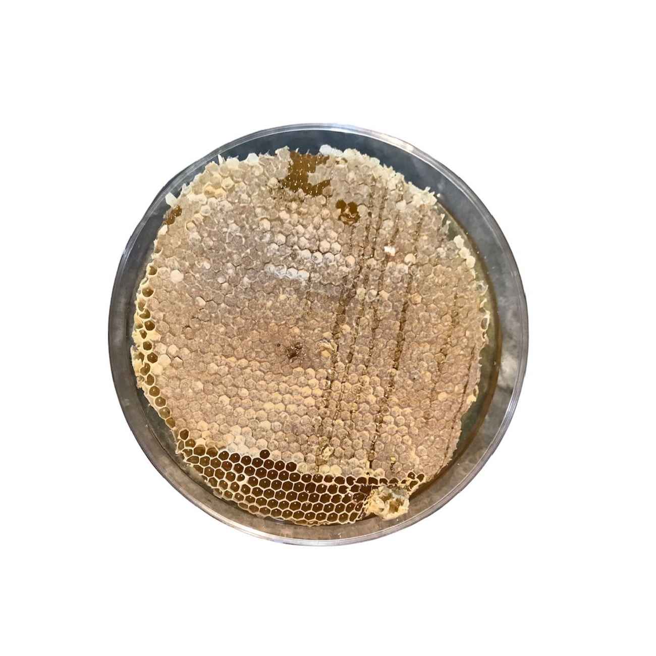 Organische Iraanse honing met pure bijenwas (980 g)