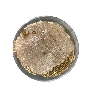 Organische Iraanse honing met pure bijenwas (980 g)