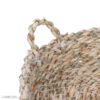 Handgeweven Palmbladmand met Handvat – Set van 3