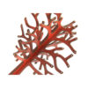 Originele houten sieradenhouder & organizer met boomdesign