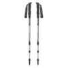Wandelstok – Essentiële Kenmerken voor Elke Outdoorliefhebber (x2)