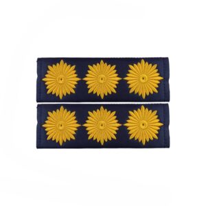 Militair Insigne – Kolonel Rangkentekens