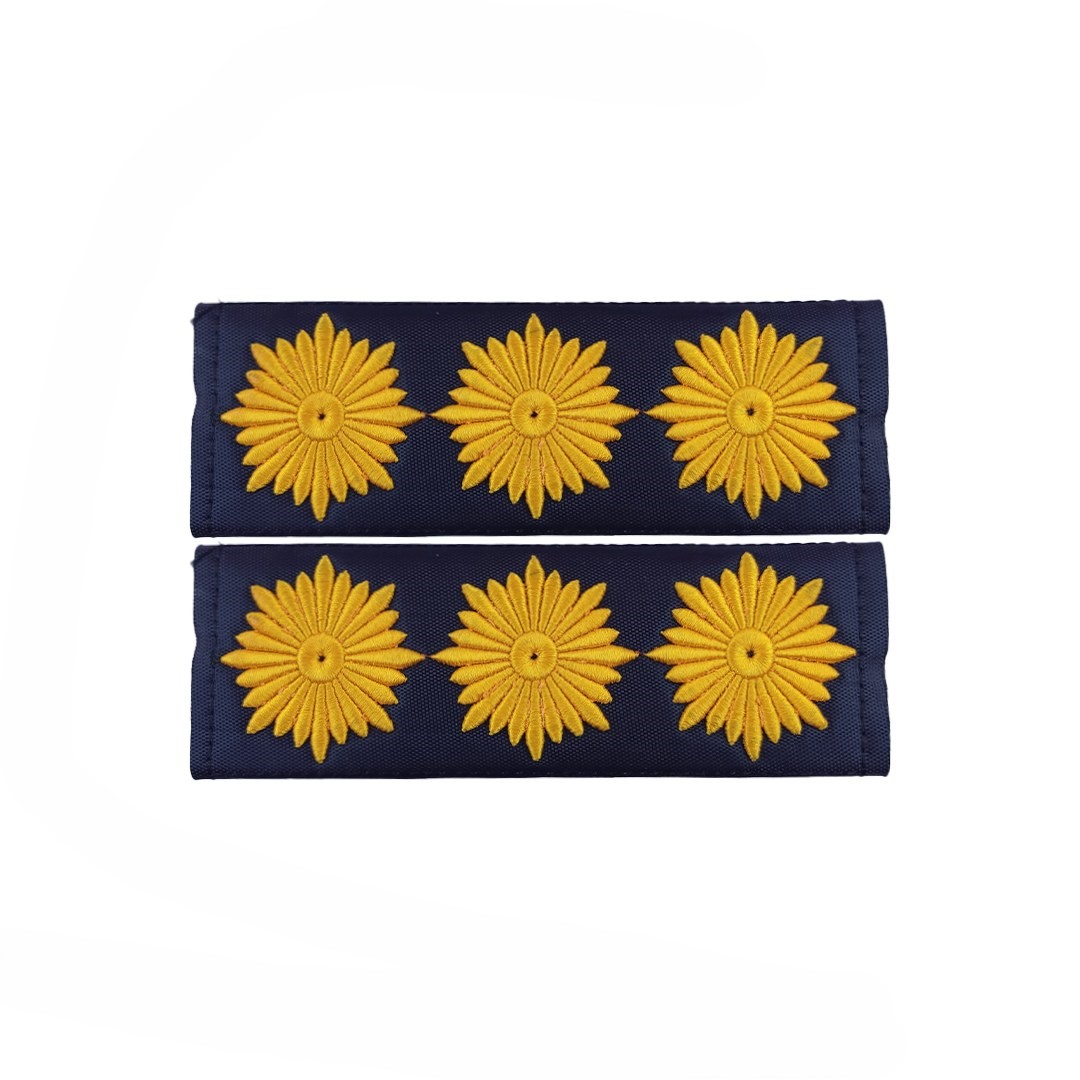 Militair Insigne – Kolonel Rangkentekens