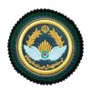 Militair Insigne – Luchtmacht Arm Patch