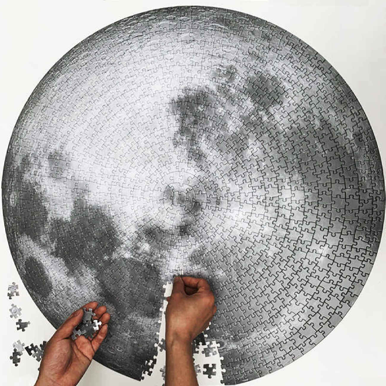 Maanlichtstukken – Legpuzzel van 1000 stukjes