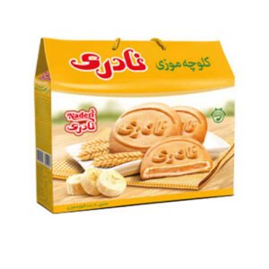 Naderi Koloocheh Perzische gestempelde bananenkoekjes – 900 g (x3)