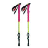 Wandelstok – Beste Keuzes voor Elk Budget Ondersteuning, Veiligheid & Comfort (2x)