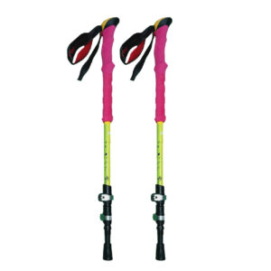 Wandelstok – Beste Keuzes voor Elk Budget Ondersteuning, Veiligheid & Comfort (2x)