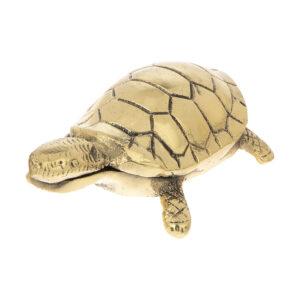 Decoratief Schildpadbeeld – Verfraai Je Woonruimte