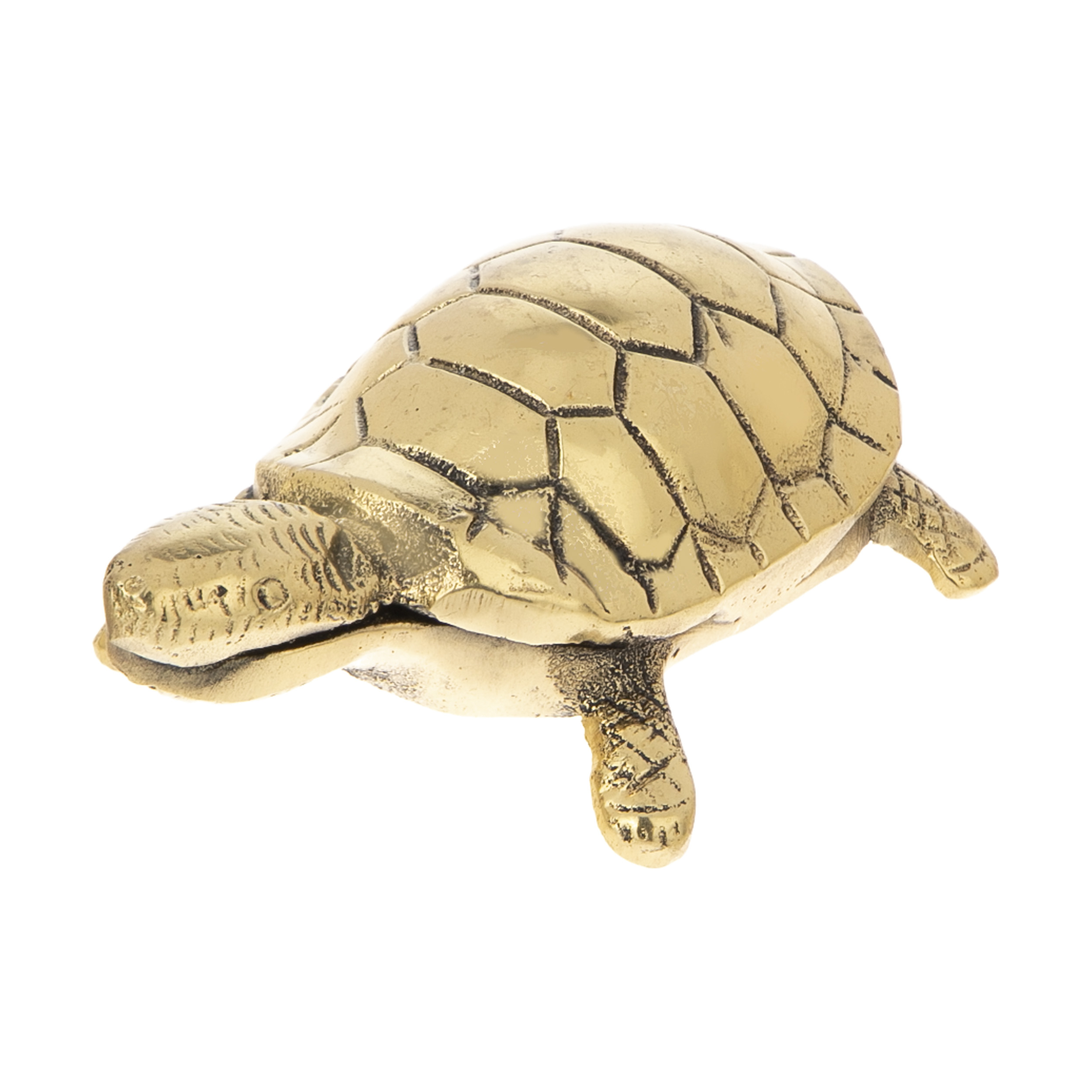 Decoratief Schildpadbeeld – Verfraai Je Woonruimte