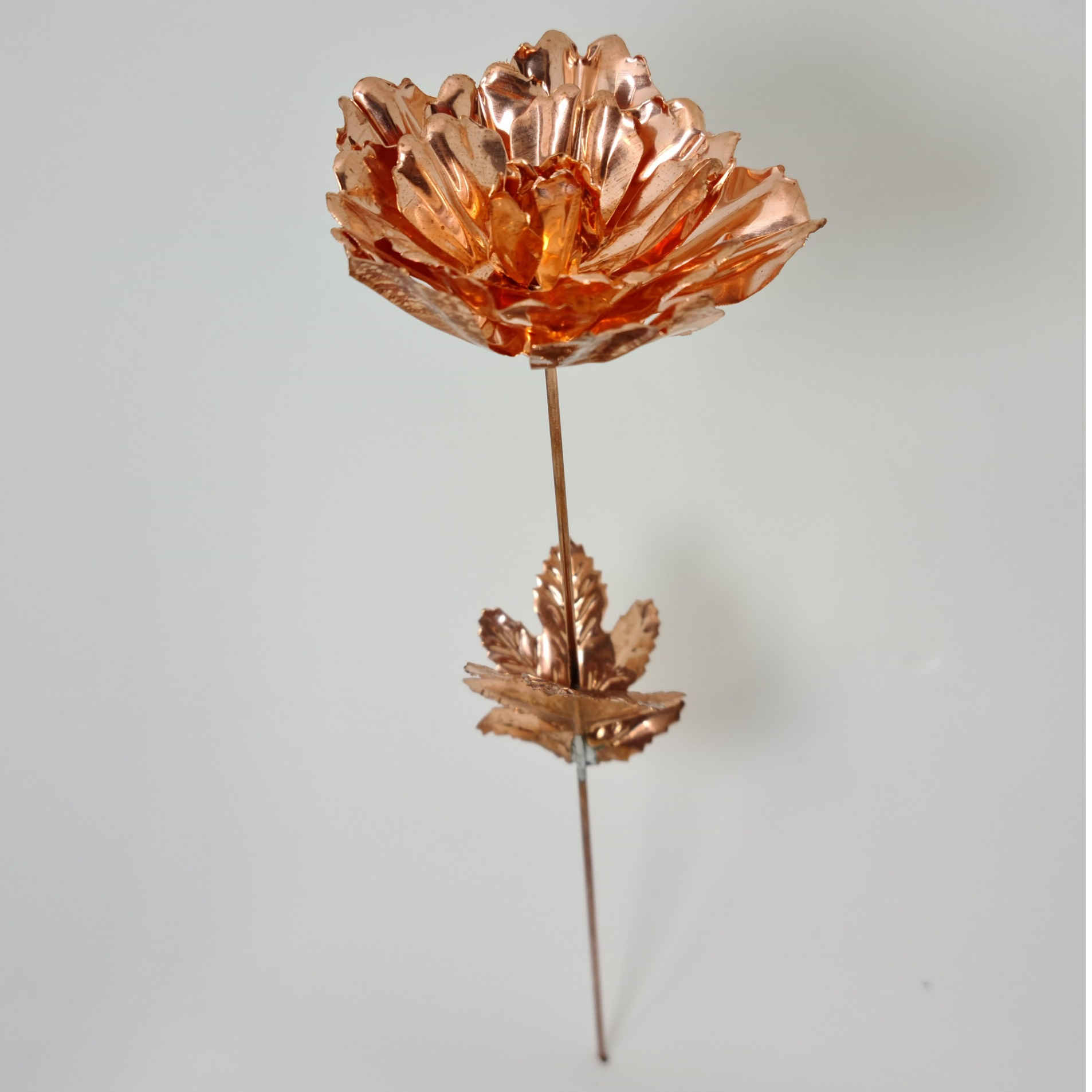 Decoratieve koperen bloem – symboliek, schoonheid en culturele bloemkunst voor huisdecoratie (x3)