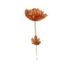 Decoratieve koperen bloem – symboliek, schoonheid en culturele bloemkunst voor huisdecoratie (x3)
