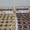 Iraanse chocolade pindakaas – 250 gr (2x)