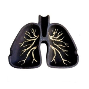 Novelty Stenen Asbak – Longen Model