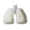 Novelty Stenen Asbak – Longen Model