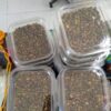 Gepelde Koerdische Pistachenoten – Wilde Bergpistachen, Pistacia Atlantica – 1000 g