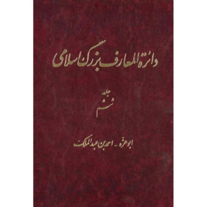 De Grote Islamitische Encyclopedie #6 door Kazem Mousavi Bojnourdi