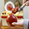 Appel Pitverwijderaar – Snel & Gemakkelijk in Gebruik