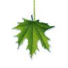 Herfstblad decoratieve hangornamenten – Set van 6