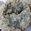 Gedroogde lokale Tarkhineh uit Kermanshah met wilde munt – 2000 gr
