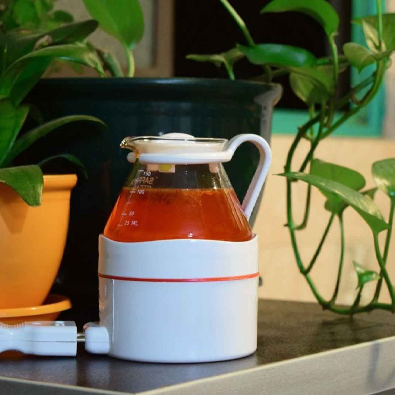Elektrische Saffraanstomer – Voor Brouwen & Infuseren van Smaak