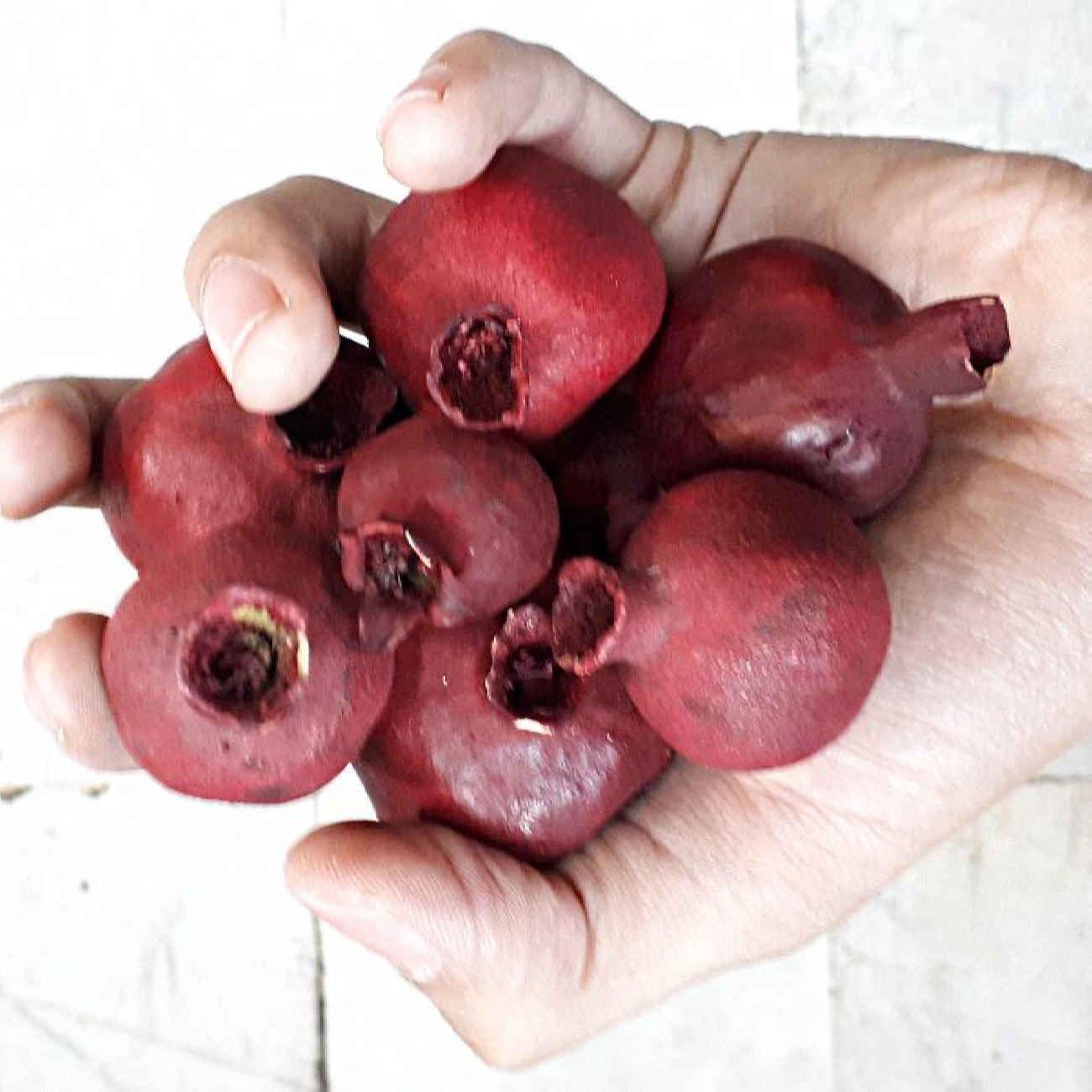 Yalda gedroogd granaatappelmodel (12-pack)