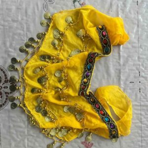 Munten Belly Dance Heupsjaal – Voor Optredens