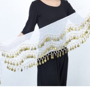 Munten Belly Dance Heupsjaal – Chiffon Kleurrijk