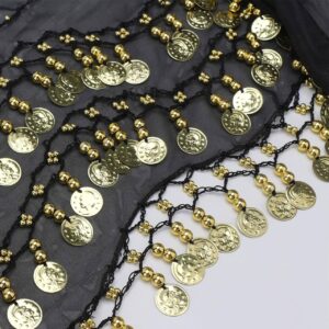 Munten Belly Dance Heupsjaal – Training & Shows
