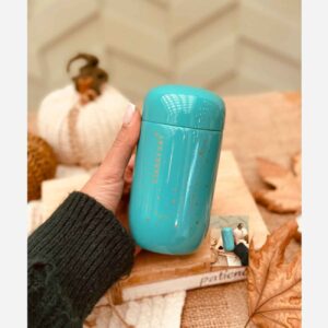 Compacte RVS Reismok – 250 ml voor Woon-werkverkeer