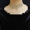 Beautifully Delicate & Fashionable Choker Necklace, Perfect for Parties & Events (3)